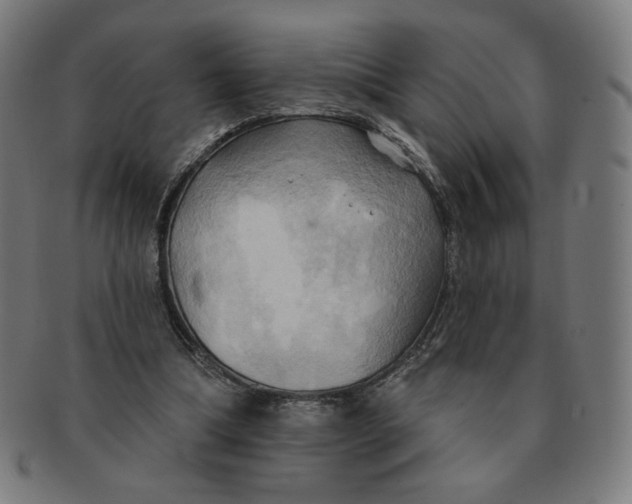 X0000090980298200708241409