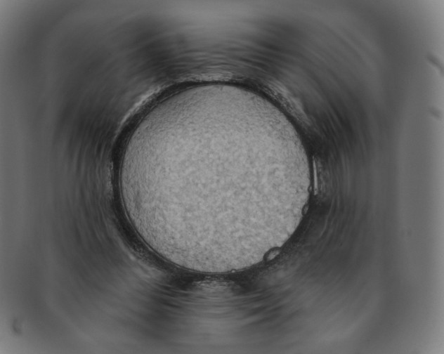 X0000090980300200708241409