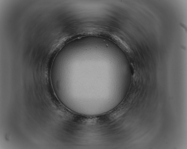 X0000090980306200708241409