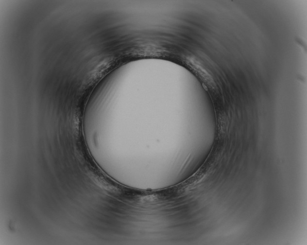 X0000090980309200708241409