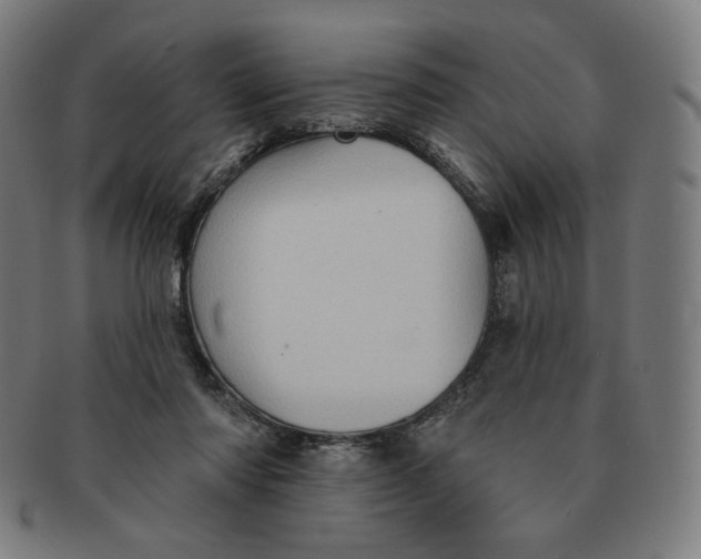 X0000090980310200708241409