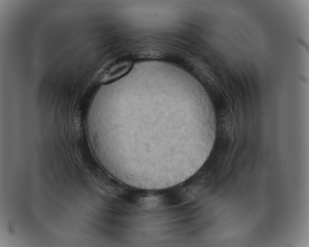 X0000090980312200708241409