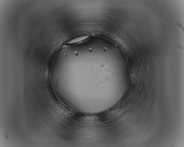 X0000090980314200708241409