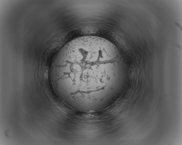 X0000090980315200708241409