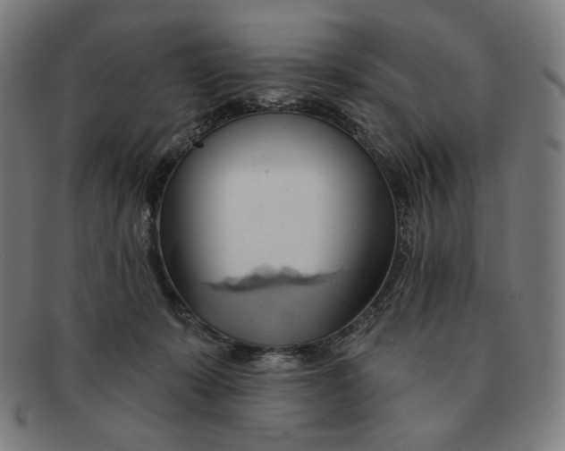 X0000090980319200708241409