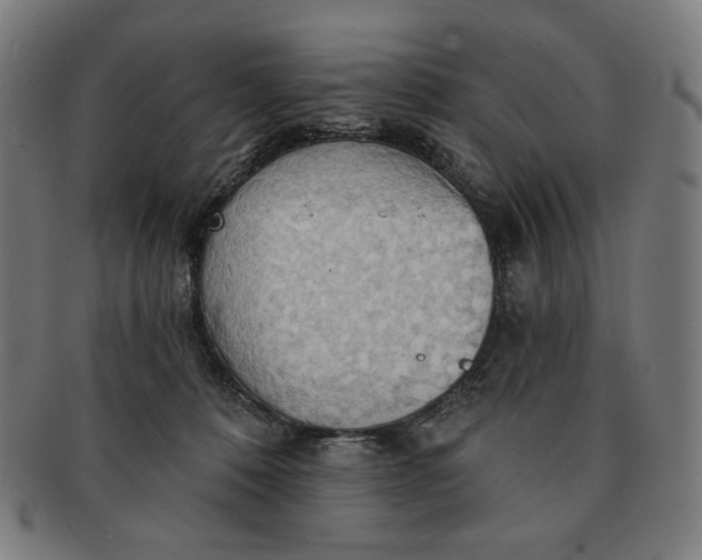 X0000090980320200708241409