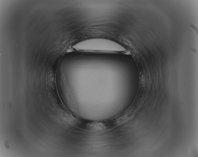 X0000090980322200708241409