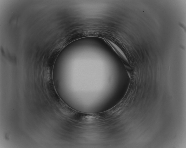 X0000090980323200708241409