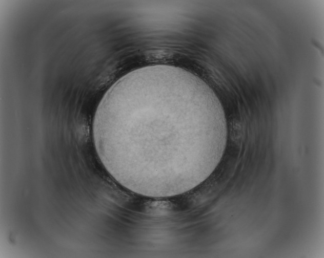 X0000090980324200708241409