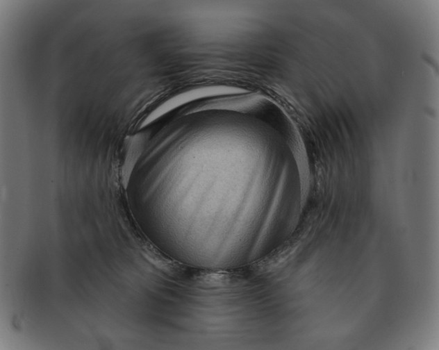 X0000090980325200708241409