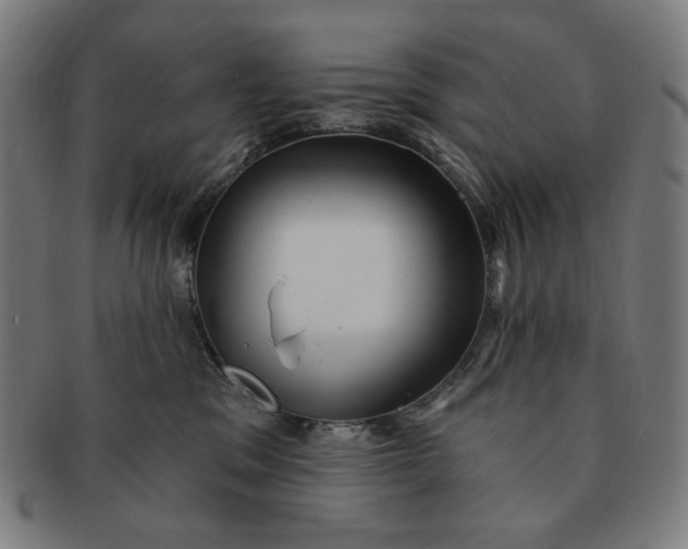 X0000090980329200708241409
