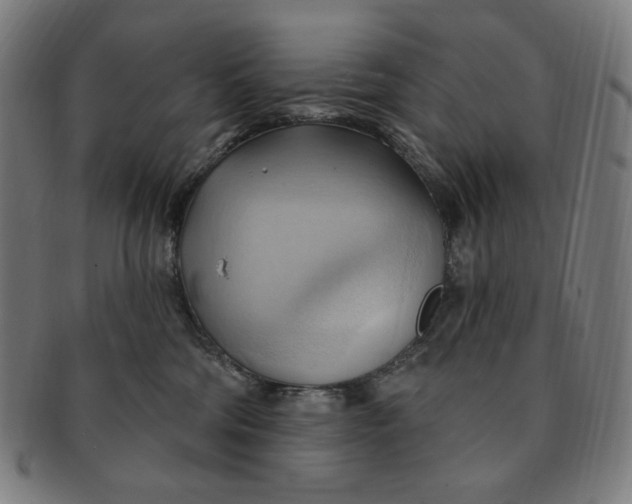 X0000090980330200708241409