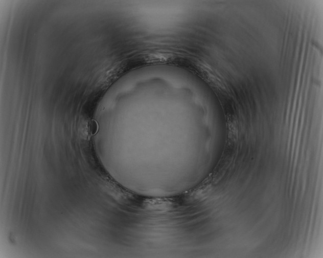 X0000090980331200708241409