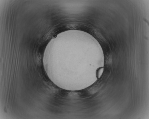 X0000090980332200708241409