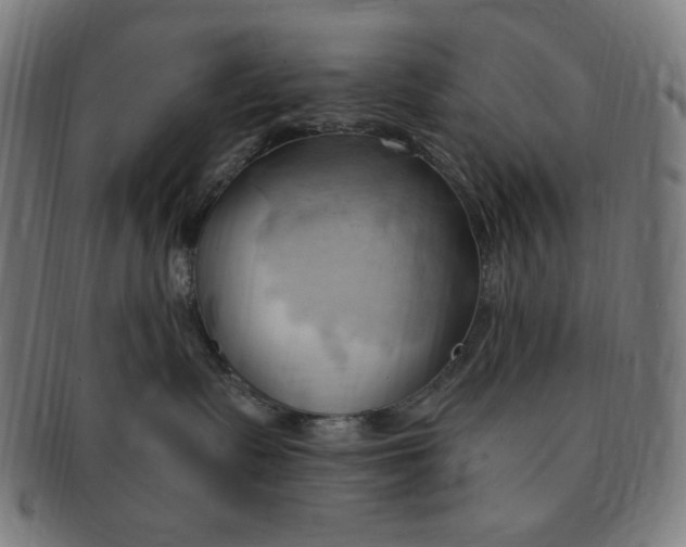 X0000090980335200708241408