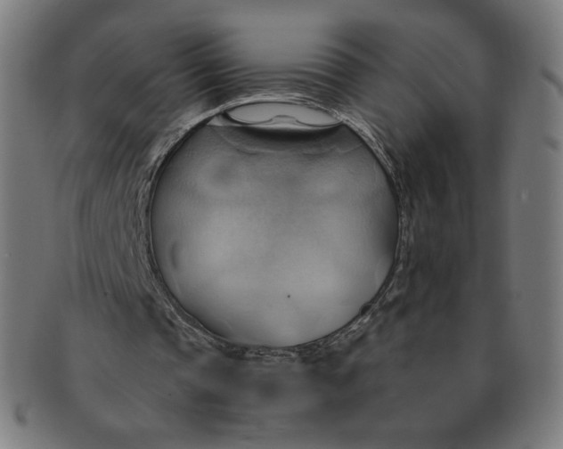 X0000090980337200708241408