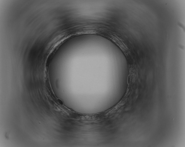 X0000090980338200708241408
