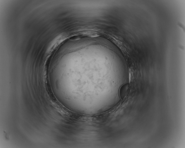 X0000090980339200708241408