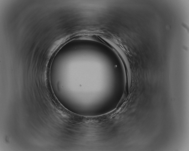 X0000090980340200708241408