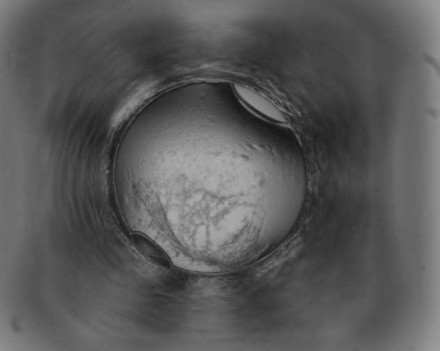 X0000090980341200708241408