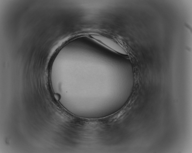 X0000090980342200708241408