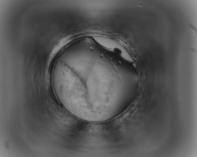 X0000090980343200708241408
