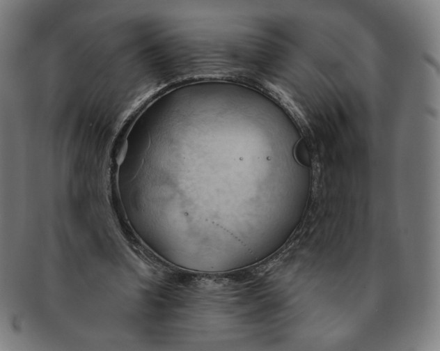 X0000090980346200708241408