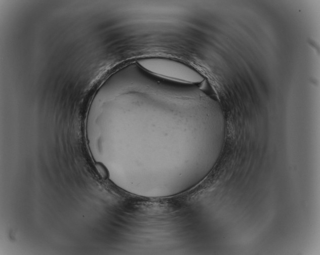 X0000090980347200708241408