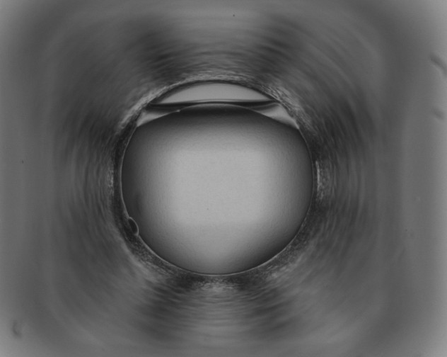 X0000090980348200708241408