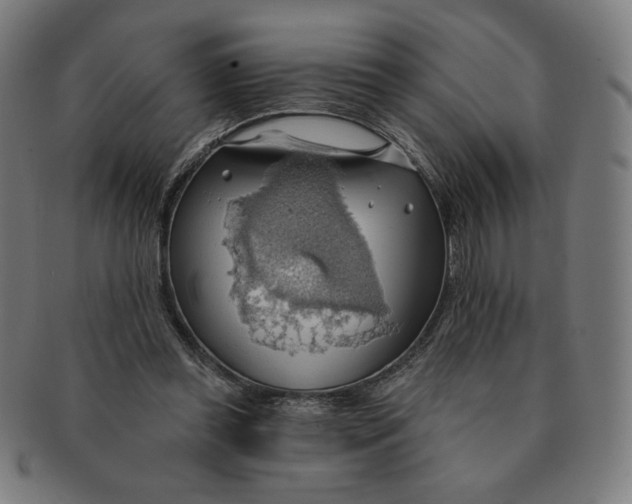X0000090980349200708241408