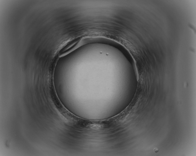 X0000090980352200708241408