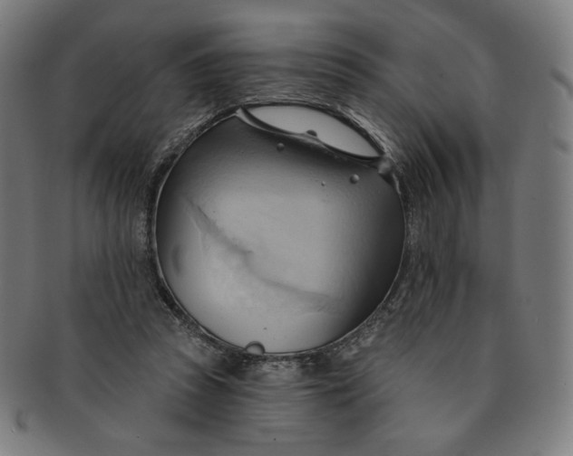 X0000090980353200708241408
