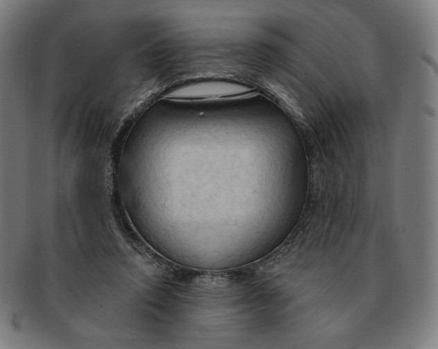 X0000090980354200708241408