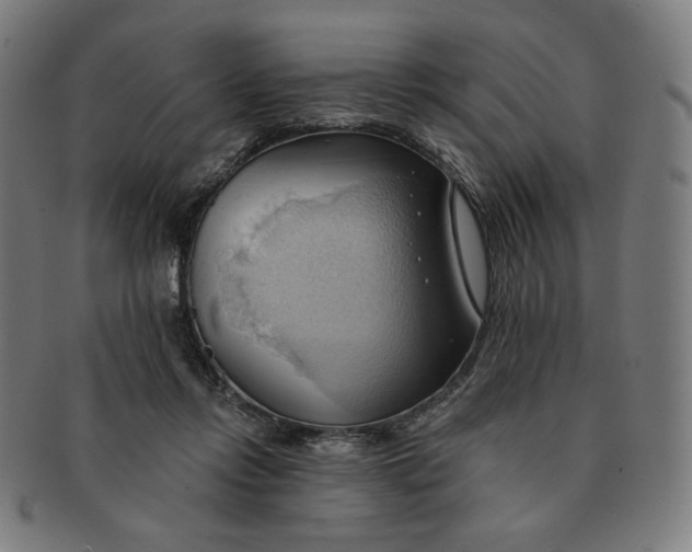 X0000090980358200708241408