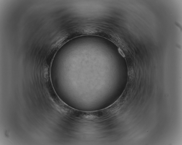 X0000090980360200708241408