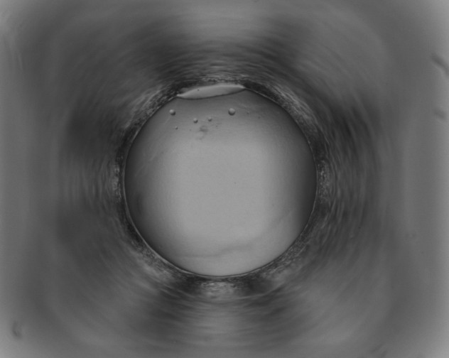 X0000090980361200708241408