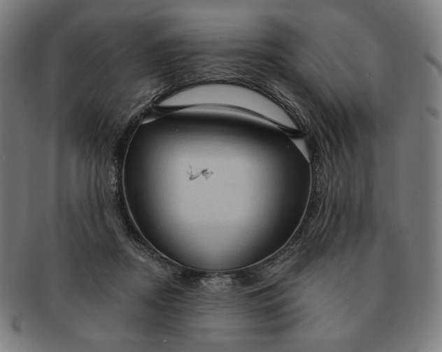 X0000090980362200708241408