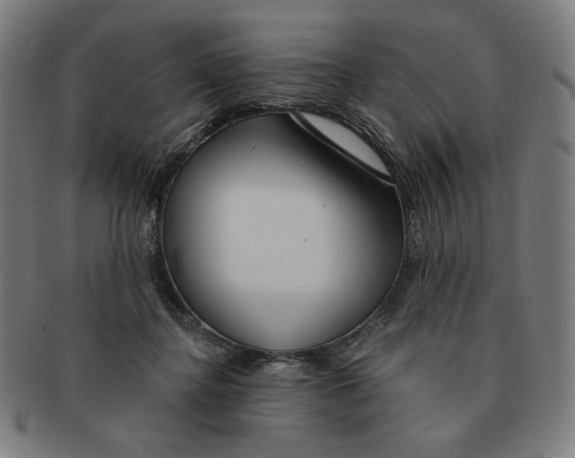 X0000090980364200708241408