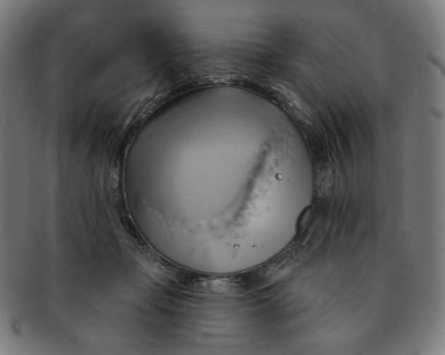X0000090980365200708241408