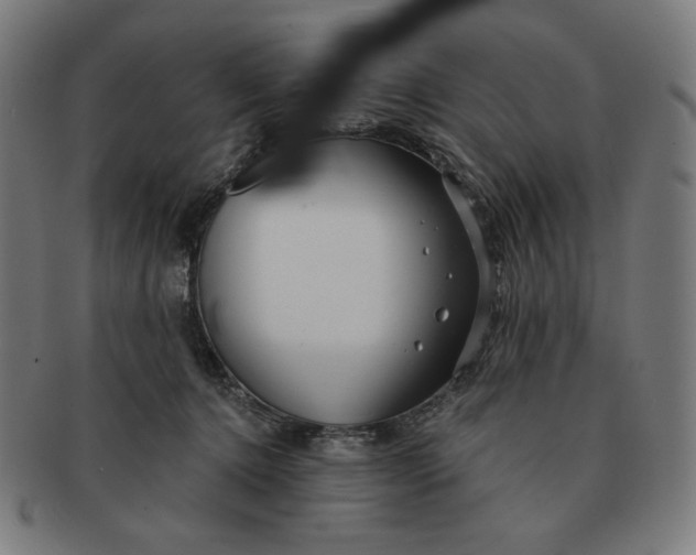 X0000090980368200708241408