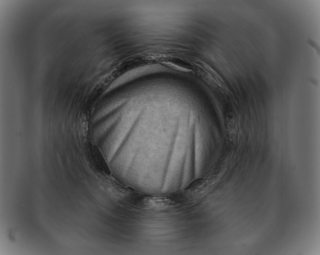 X0000090980372200708241408