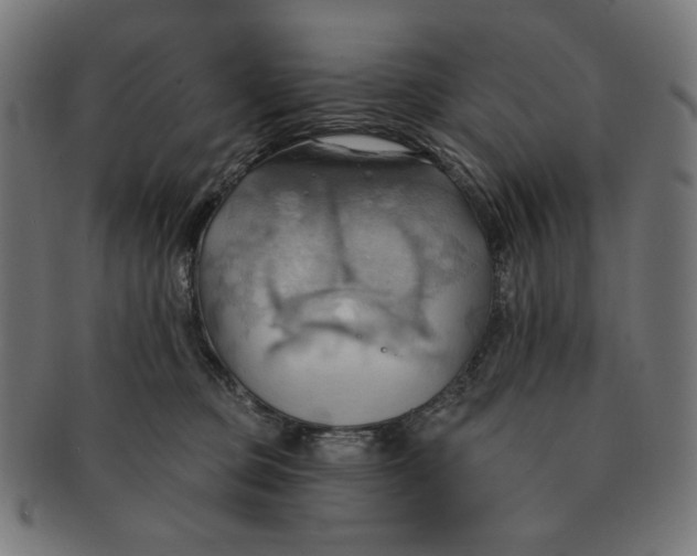X0000090980373200708241408