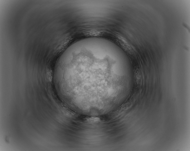 X0000090980374200708241408