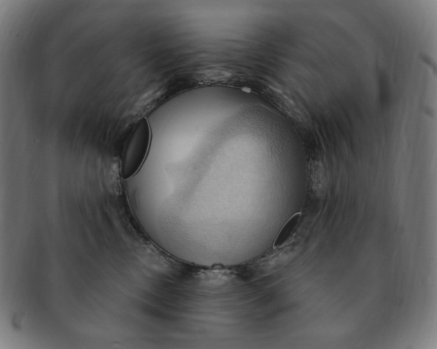 X0000090980378200708241408