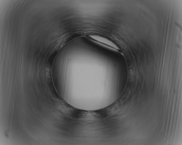 X0000090980379200708241408