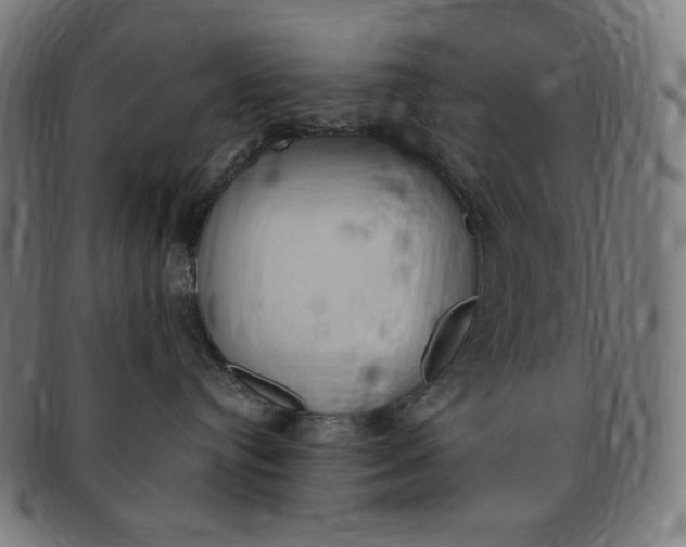 X0000090980384200708241408