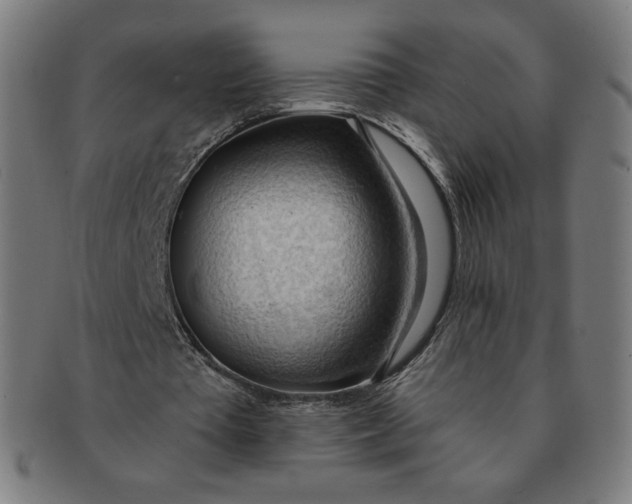 X0000090980385200708241408