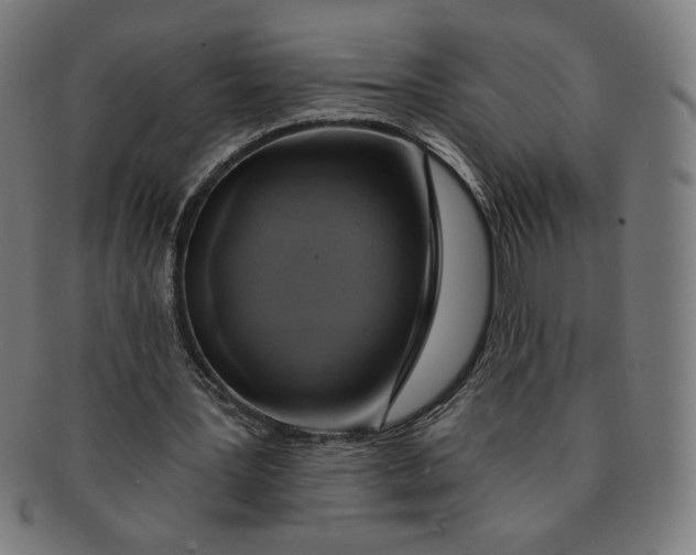 X0000090980387200708241408