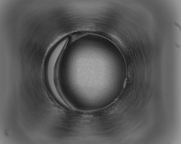 X0000090980388200708241408