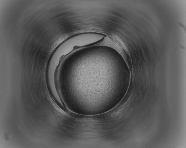X0000090980389200708241408
